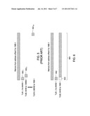 TLB EXCLUSION RANGE diagram and image