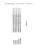CHIMERIC MEGANUCLEASE ENZYMES AND USES THEREOF diagram and image