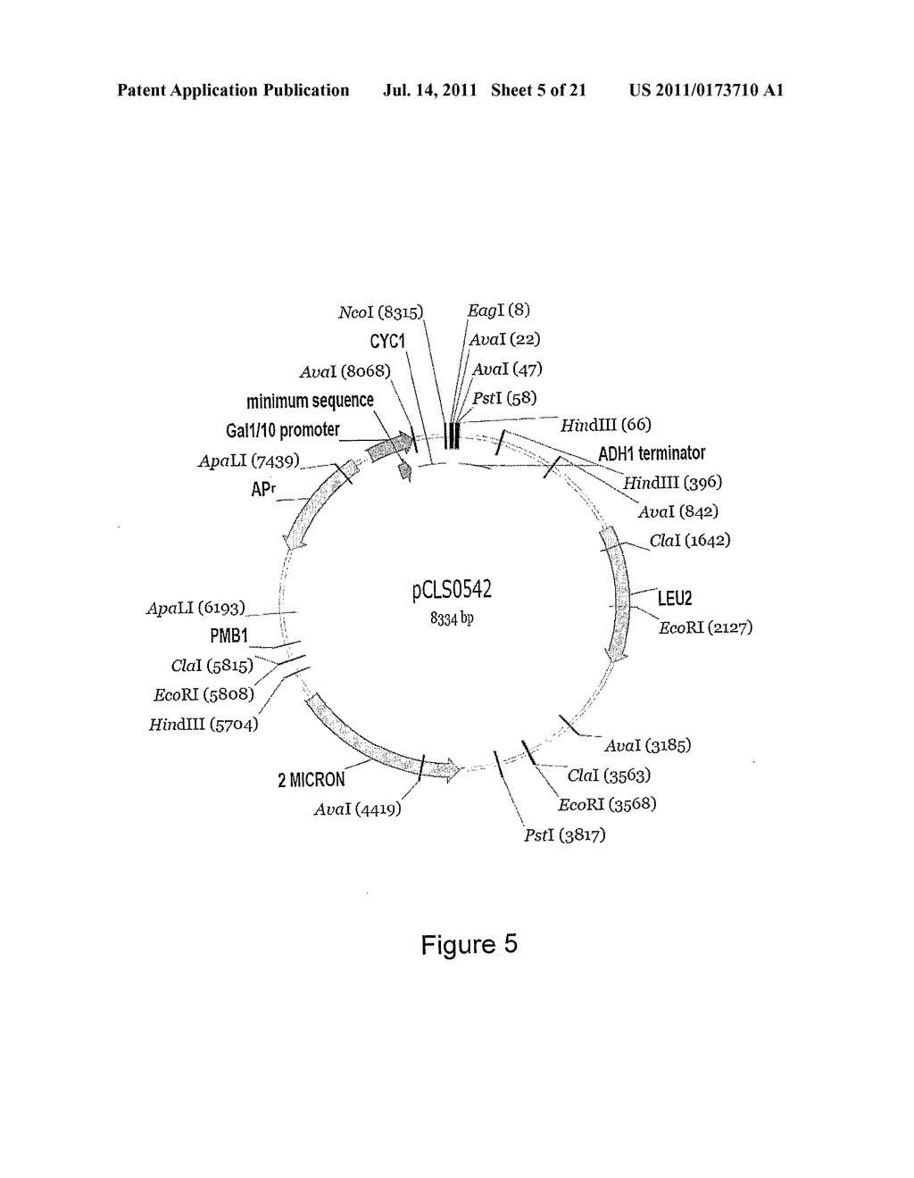 CHIMERIC MEGANUCLEASE ENZYMES AND USES THEREOF - diagram, schematic, and image 06