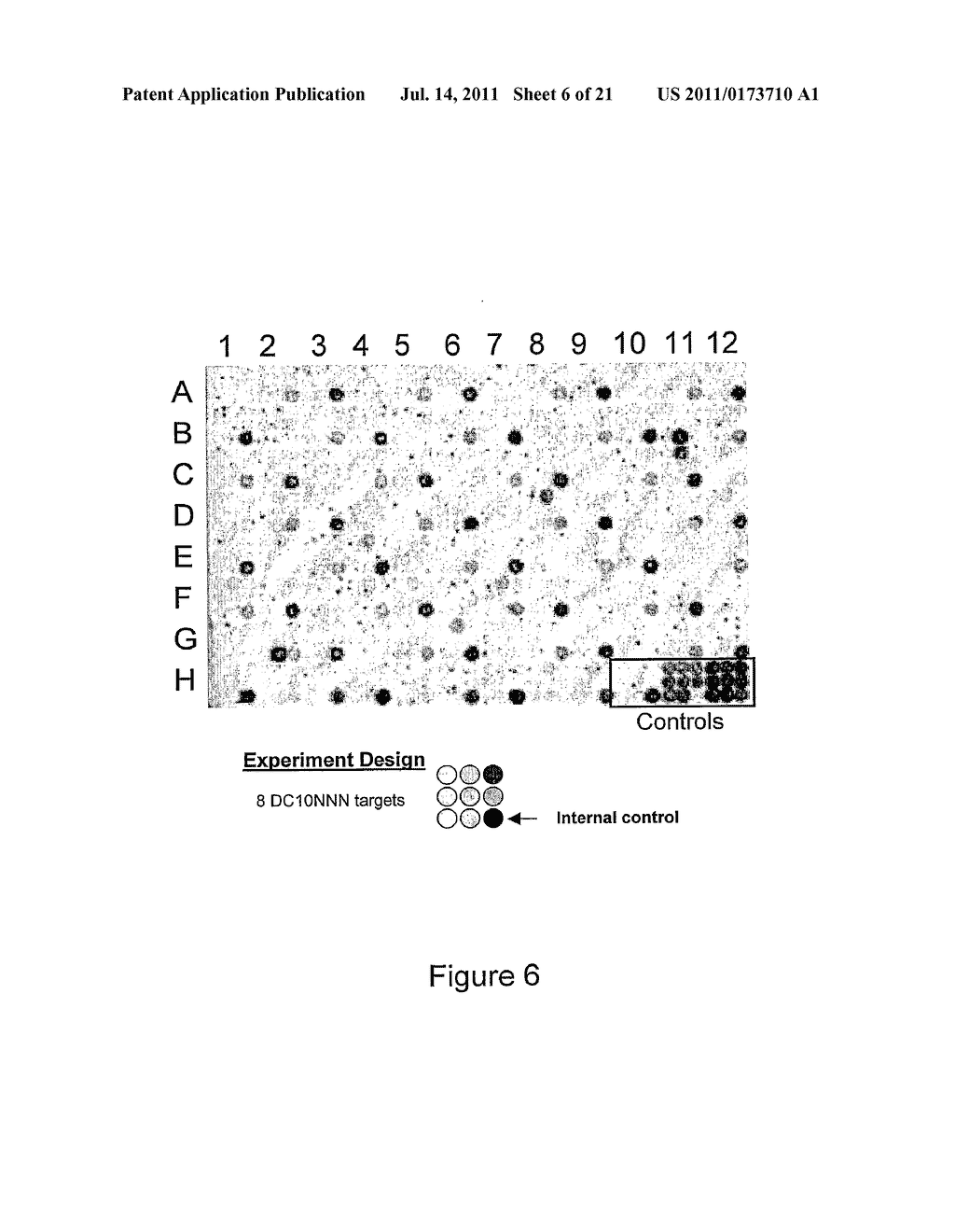 CHIMERIC MEGANUCLEASE ENZYMES AND USES THEREOF - diagram, schematic, and image 07