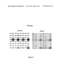 CHIMERIC MEGANUCLEASE ENZYMES AND USES THEREOF diagram and image