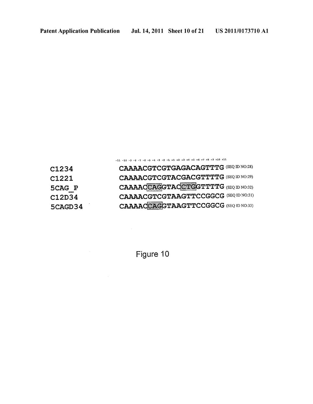 CHIMERIC MEGANUCLEASE ENZYMES AND USES THEREOF - diagram, schematic, and image 11