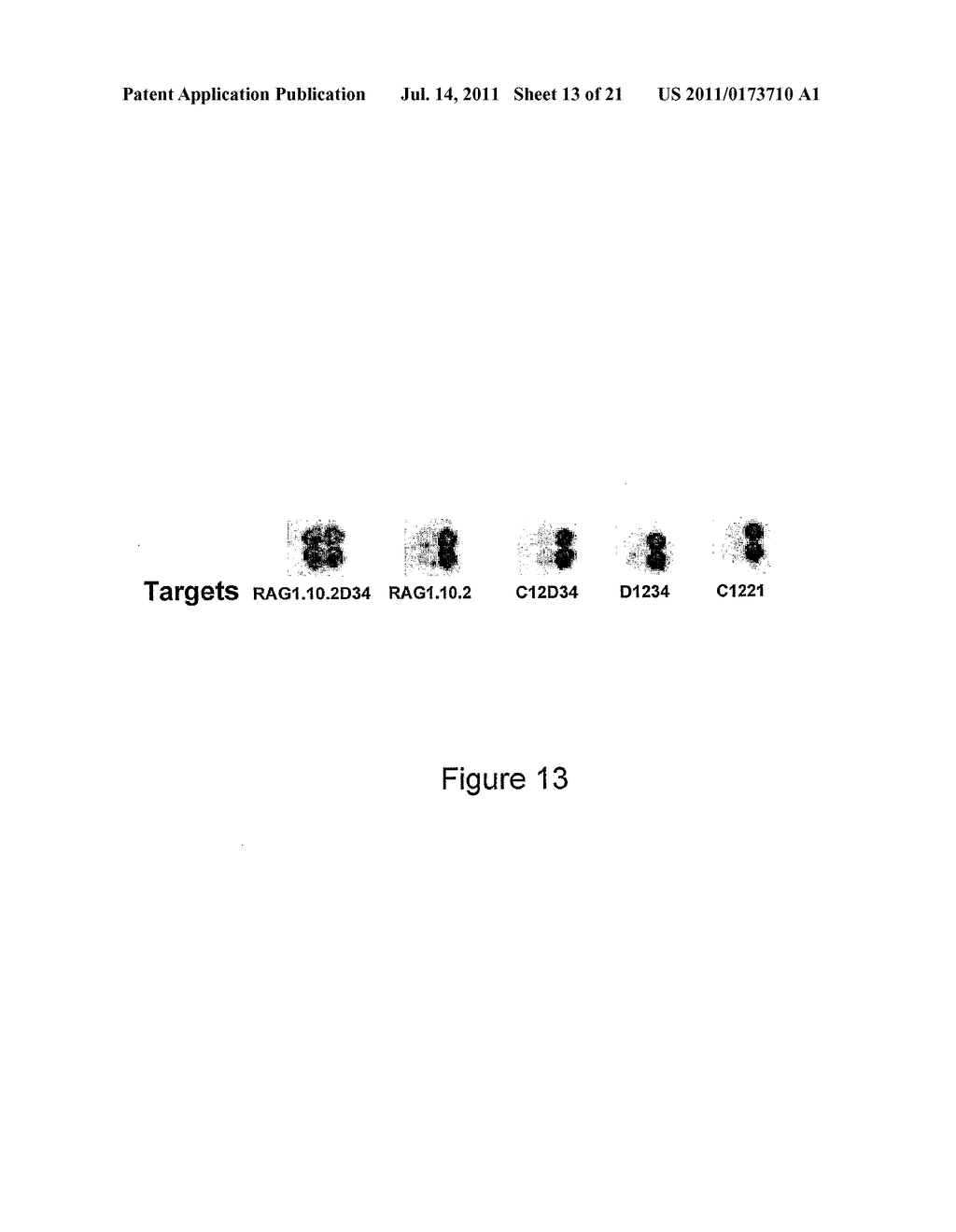 CHIMERIC MEGANUCLEASE ENZYMES AND USES THEREOF - diagram, schematic, and image 14