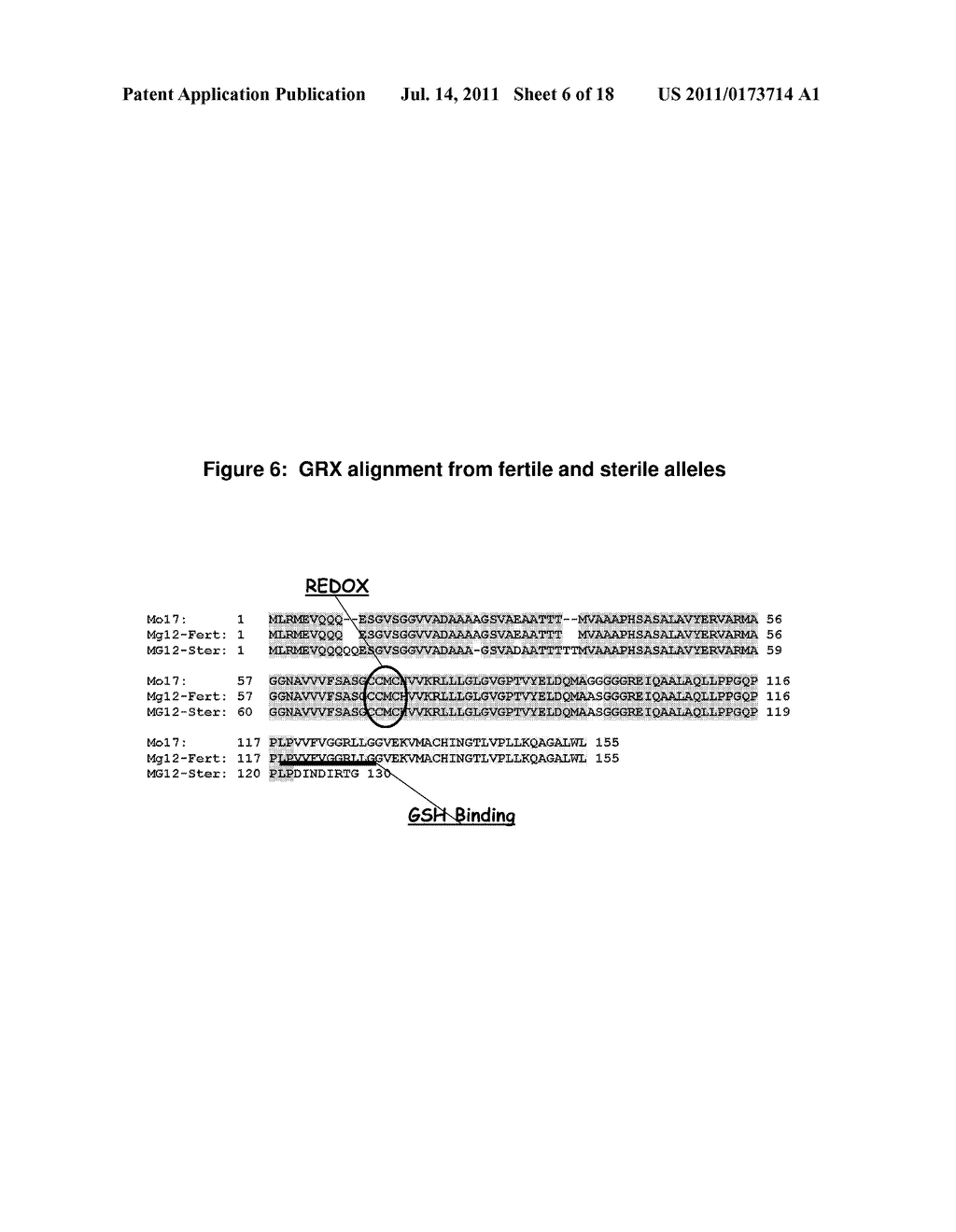 MSCA1 NUCLEOTIDE SEQUENCES IMPACTING PLANT MALE FERTILITY AND METHOD OF     USING SAME - diagram, schematic, and image 07