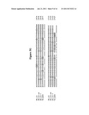 ALTERATION OF TOBACCO ALKALOID CONTENT THROUGH MODIFICATION OF SPECIFIC     CYTOCHROME P450 GENES diagram and image