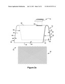 LEAF FILTER SYSTEM AND REPLACEABLE FILTER LEAF APPARATUS diagram and image