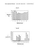 POLYSULFONE POLYMERS AND MEMBRANES FOR REVERSE OSMOSIS, NANOFILTRATION AND     ULTRAFILTRATION diagram and image