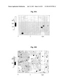 POLYSULFONE POLYMERS AND MEMBRANES FOR REVERSE OSMOSIS, NANOFILTRATION AND     ULTRAFILTRATION diagram and image