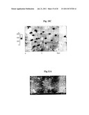 POLYSULFONE POLYMERS AND MEMBRANES FOR REVERSE OSMOSIS, NANOFILTRATION AND     ULTRAFILTRATION diagram and image