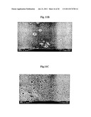 POLYSULFONE POLYMERS AND MEMBRANES FOR REVERSE OSMOSIS, NANOFILTRATION AND     ULTRAFILTRATION diagram and image