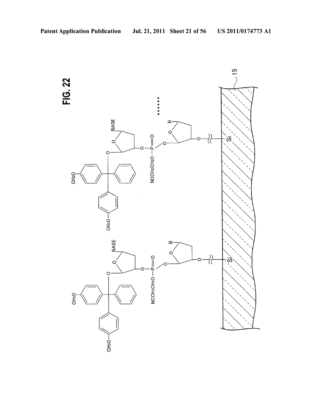 SUBSTRATE FOR BIOCHIP, BIOCHIP, METHOD FOR MANUFACTURING SUBSTRATE FOR     BIOCHIP, AND METHOD FOR MANUFACTURING BIOCHIP - diagram, schematic, and image 22