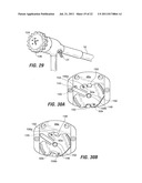 ENDOSCOPIC STAPLING DEVICES AND METHODS diagram and image