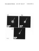 Phase contrast imaging and preparing a tem therefor diagram and image