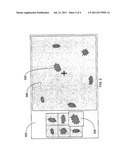 SYSTEM AND METHOD FOR RE-LOCATING AN OBJECT IN A SAMPLE ON A SLIDE WITH A     MICROSCOPE IMAGING DEVICE diagram and image