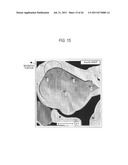 RED PHOSPHOR, METHOD FOR PRODUCING RED PHOSPHOR, WHITE LIGHT SOURCE,     ILLUMINATING DEVICE, AND LIQUID CRYSTAL DISPLAY DEVICE diagram and image