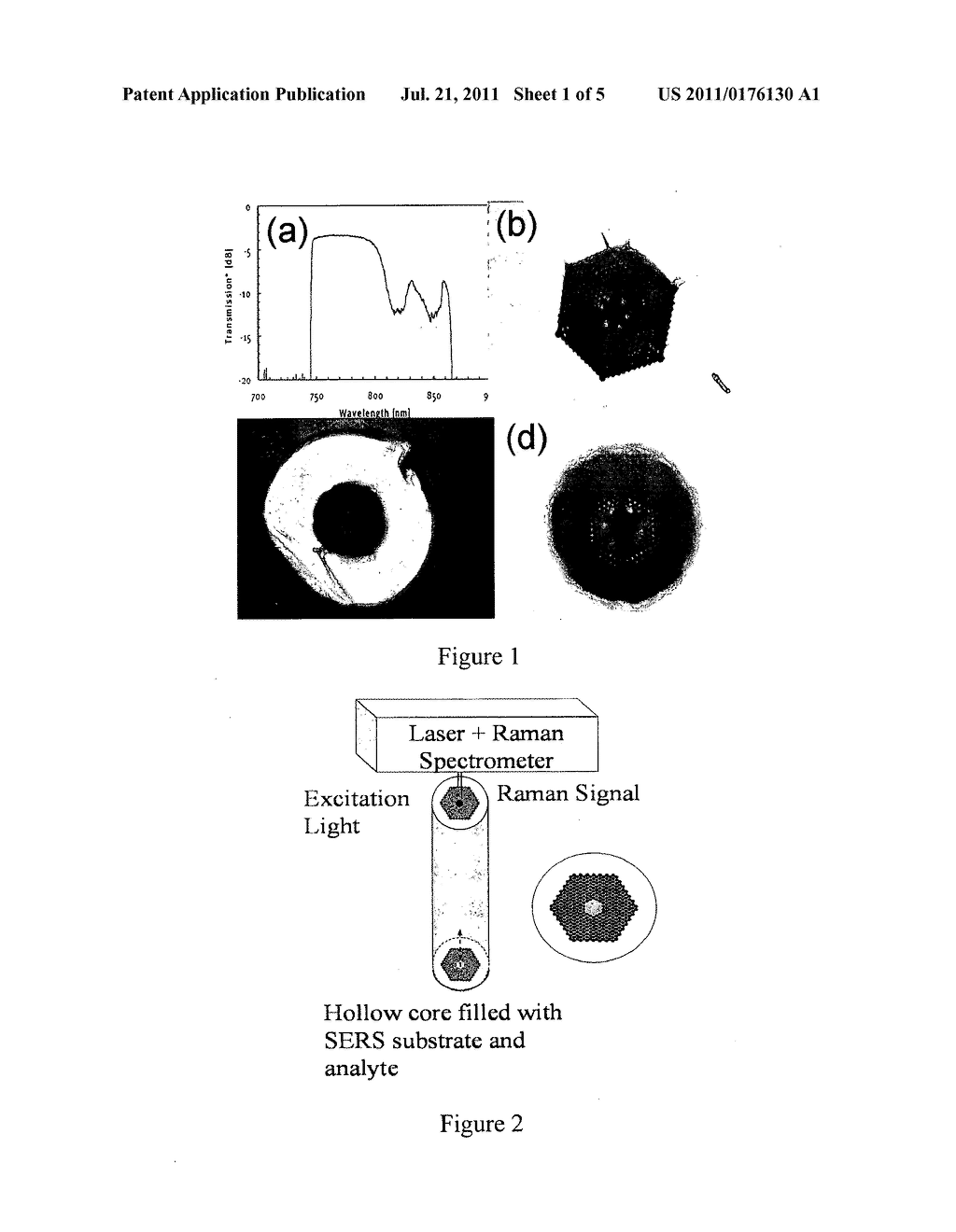 LIQUID CORE PHOTONIC CRYSTAL FIBER BIOSENSORS USING SURFACE ENHANCED RAMAN     SCATTERING AND METHODS FOR THEIR USE - diagram, schematic, and image 02