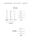 ZOOM LENS, OPTICAL APPARATUS HAVING SAME, AND METHOD OF MANUFACTURING ZOOM     LENS diagram and image