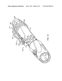 LIGHTING DEVICE WITH REMOVABLE CLIP diagram and image