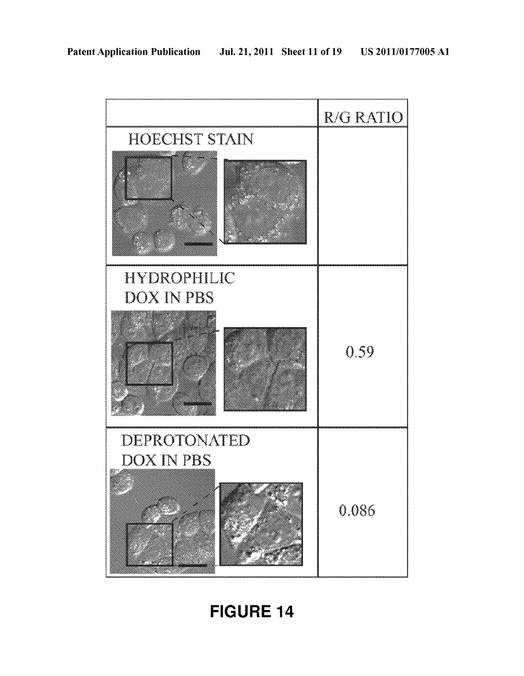 STABLE NANOEMULSIONS FOR ULTRASOUND-MEDIATED DRUG DELIVERY AND IMAGING - diagram, schematic, and image 12