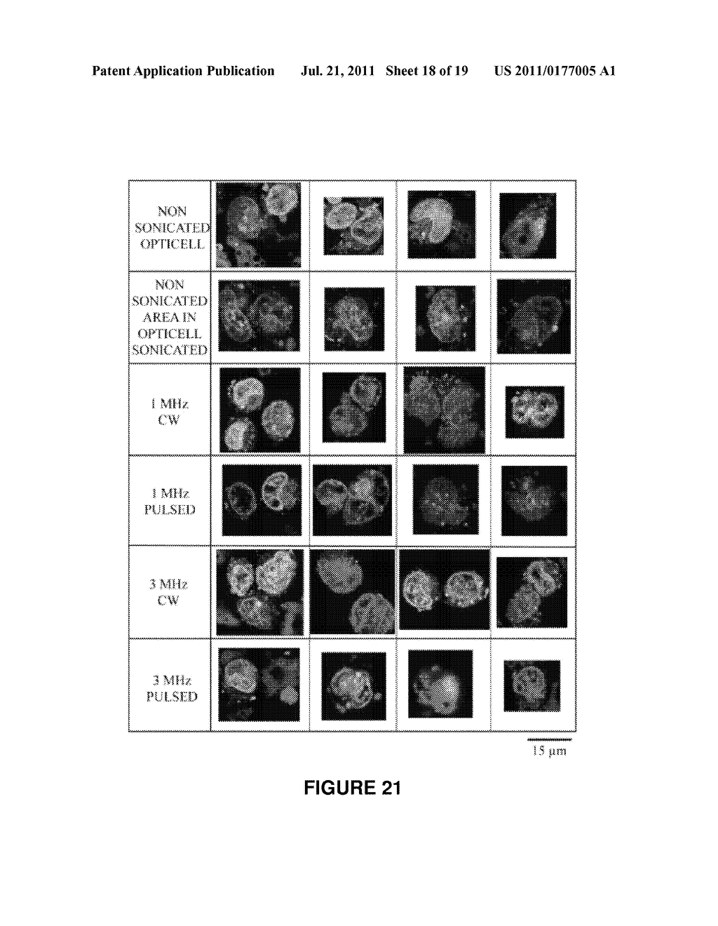 STABLE NANOEMULSIONS FOR ULTRASOUND-MEDIATED DRUG DELIVERY AND IMAGING - diagram, schematic, and image 19