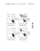 TARGETING PAX2 FOR THE INDUCTION OF DEFB1-MEDIATED TUMOR IMMUNITY AND     CANCER THERAPY diagram and image