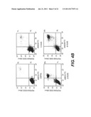 TARGETING PAX2 FOR THE INDUCTION OF DEFB1-MEDIATED TUMOR IMMUNITY AND     CANCER THERAPY diagram and image