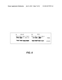 TARGETING PAX2 FOR THE INDUCTION OF DEFB1-MEDIATED TUMOR IMMUNITY AND     CANCER THERAPY diagram and image