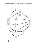 TARGETED DOUBLE STRANDED RNA MEDIATED CELL KILLING diagram and image