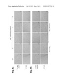 TARGETED DOUBLE STRANDED RNA MEDIATED CELL KILLING diagram and image