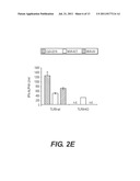 IMMEDIATE PROTECTION AGAINST PATHOGENS VIA MVA diagram and image