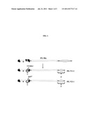 CHIMERIC RESPIRATORY SYNCYTIAL VIRUS POLYPEPTIDE ANTIGENS diagram and image