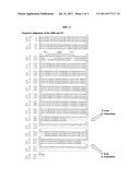 CHIMERIC RESPIRATORY SYNCYTIAL VIRUS POLYPEPTIDE ANTIGENS diagram and image