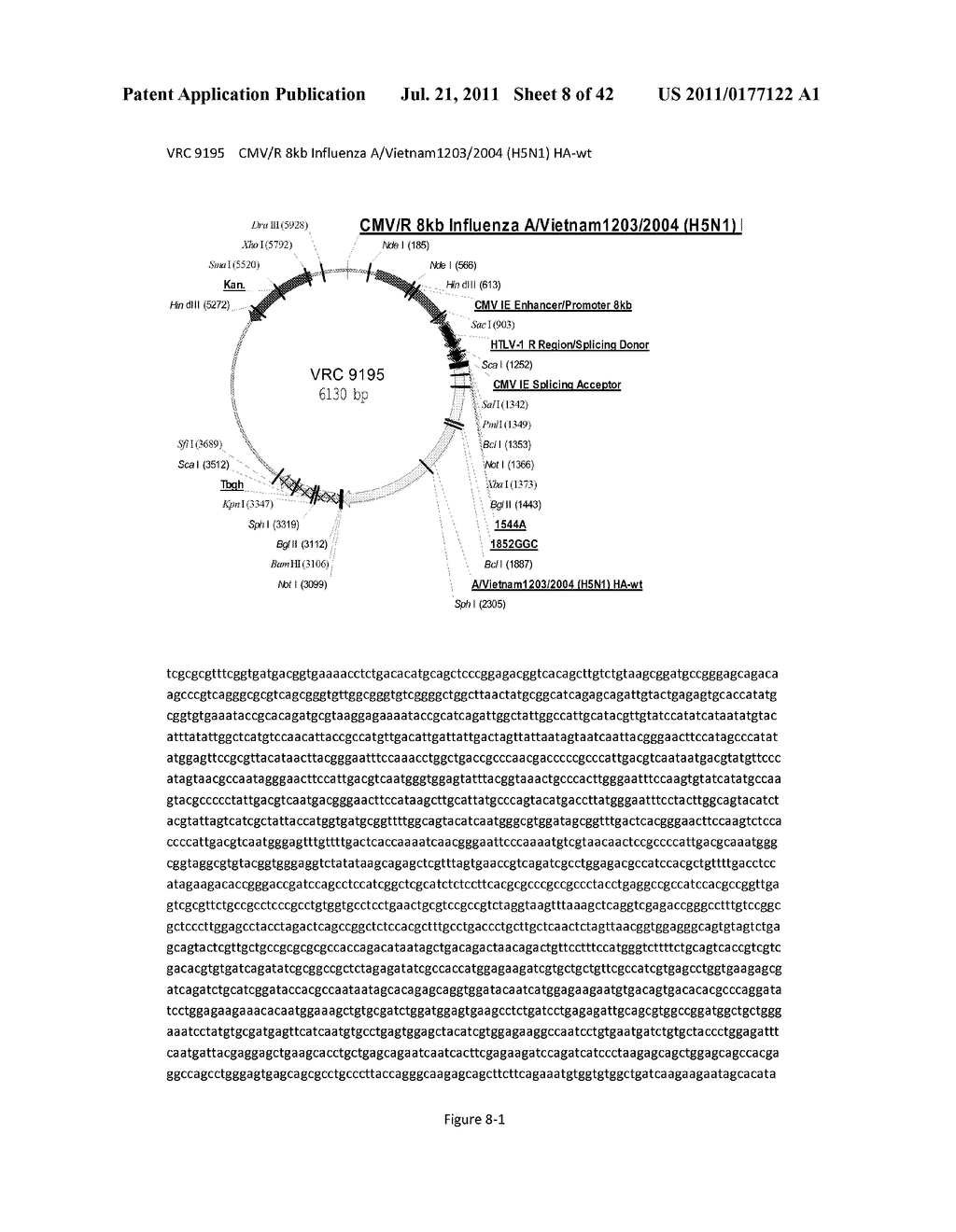 DNA PRIME/ACTIVATED VACCINE BOOST IMMUNIZATION TO INFLUENZA VIRUS - diagram, schematic, and image 09