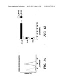 METHODS OF DELIVERY OF AGENTS TO LEUKOCYTES AND ENDOTHELIAL CELLS diagram and image