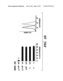 METHODS OF DELIVERY OF AGENTS TO LEUKOCYTES AND ENDOTHELIAL CELLS diagram and image