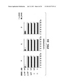 METHODS OF DELIVERY OF AGENTS TO LEUKOCYTES AND ENDOTHELIAL CELLS diagram and image