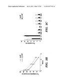 METHODS OF DELIVERY OF AGENTS TO LEUKOCYTES AND ENDOTHELIAL CELLS diagram and image