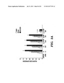 METHODS OF DELIVERY OF AGENTS TO LEUKOCYTES AND ENDOTHELIAL CELLS diagram and image