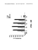 METHODS OF DELIVERY OF AGENTS TO LEUKOCYTES AND ENDOTHELIAL CELLS diagram and image