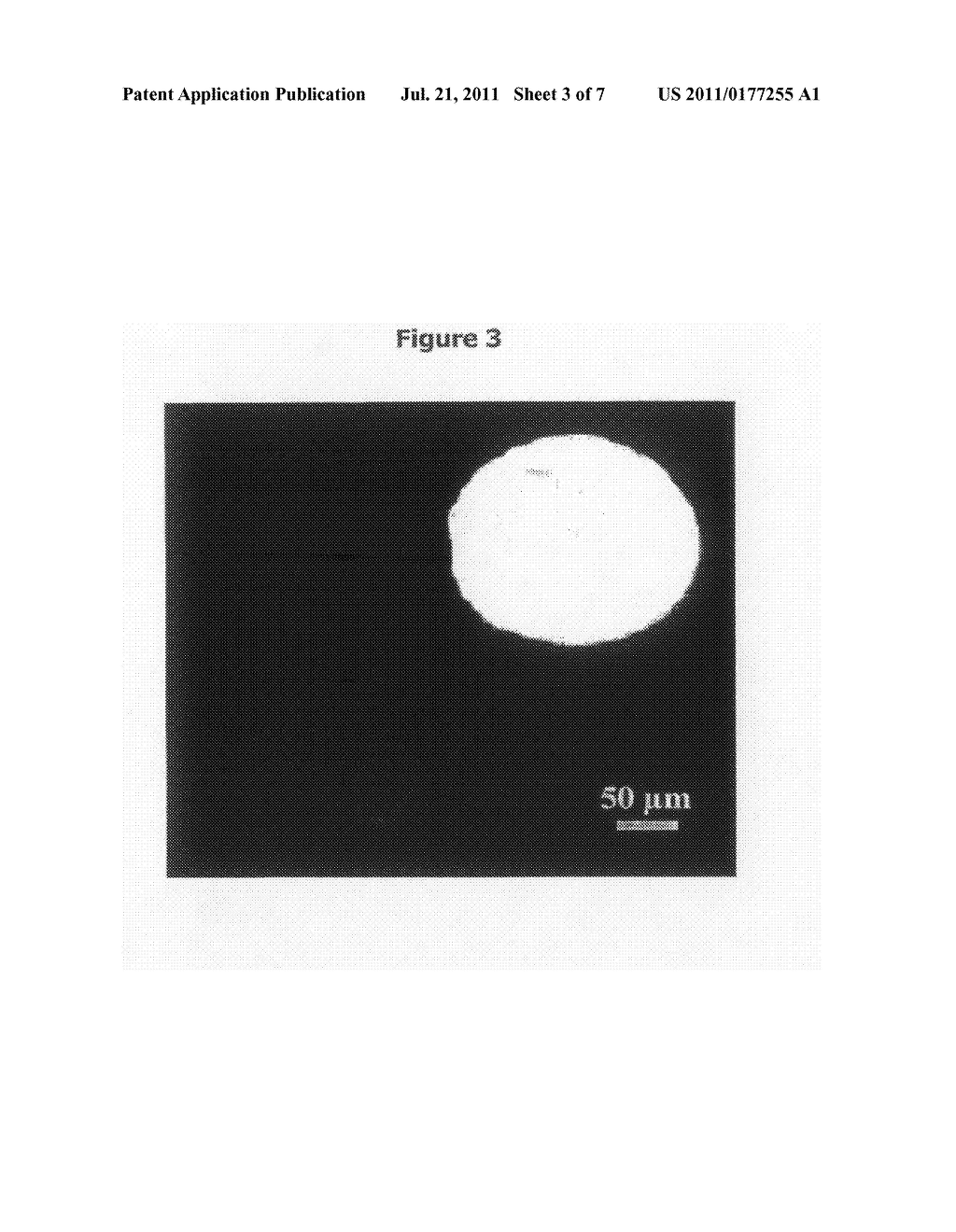 METHOD FOR PRODUCING AN ALDEHYDE CONTAINING COATING - diagram, schematic, and image 04
