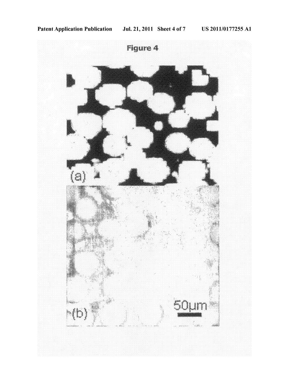 METHOD FOR PRODUCING AN ALDEHYDE CONTAINING COATING - diagram, schematic, and image 05