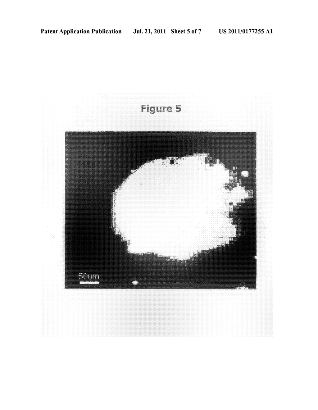 METHOD FOR PRODUCING AN ALDEHYDE CONTAINING COATING - diagram, schematic, and image 06