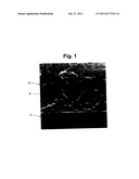 TEMPORARY PROTECTION OF GLASS diagram and image