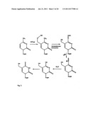 UNIVERSAL METHYLATION PROFILING METHODS diagram and image