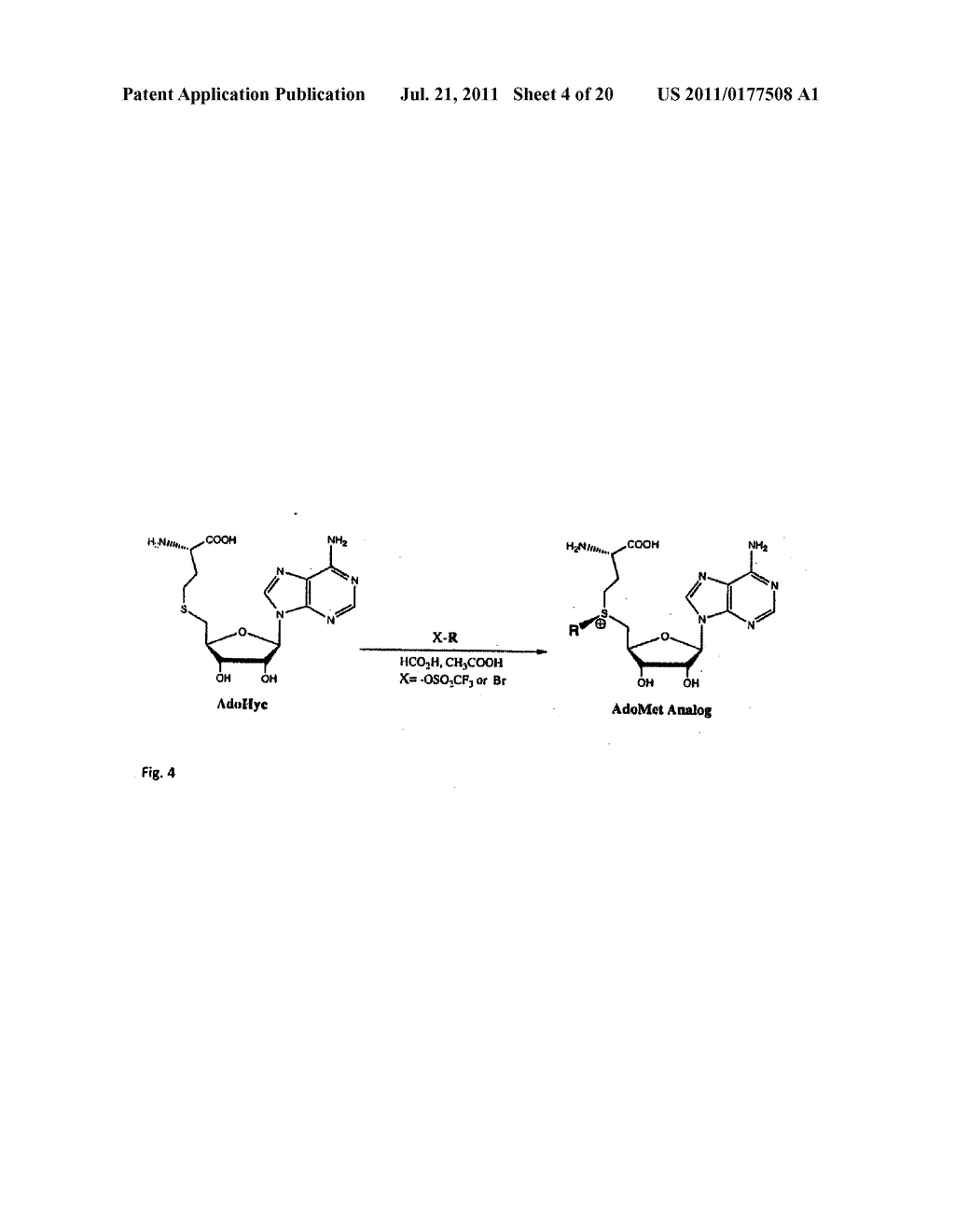 UNIVERSAL METHYLATION PROFILING METHODS - diagram, schematic, and image 05