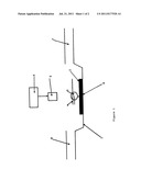 DNA SEQUENCING METHOD diagram and image