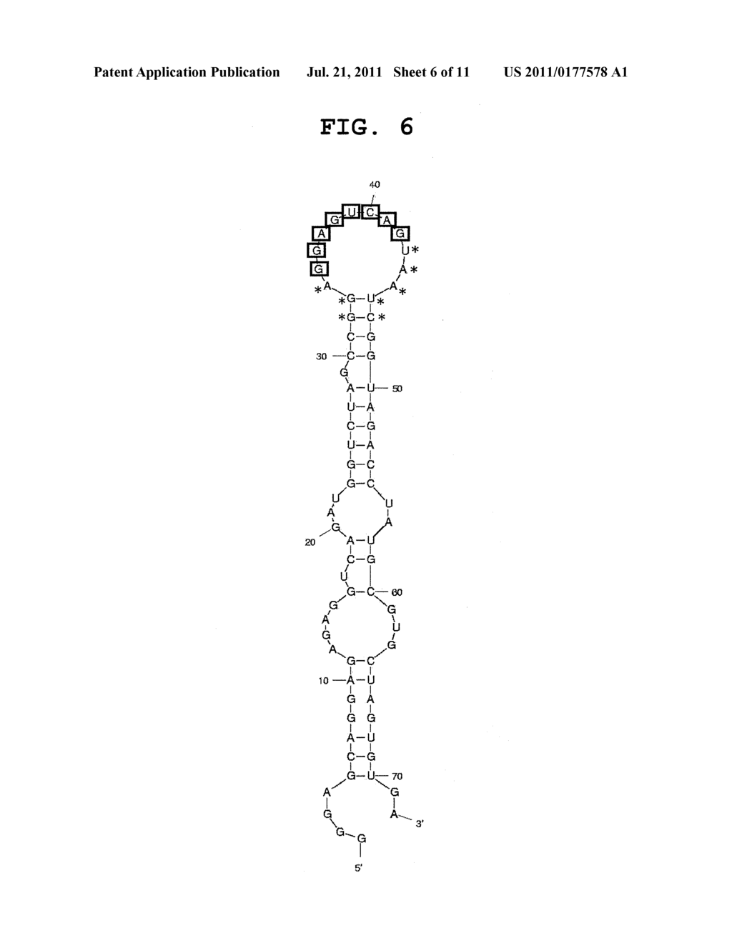 APTAMER AGAINST IL-17 AND USE THEREOF - diagram, schematic, and image 07