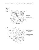 Composite Structure diagram and image