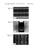 MATERIALS AND METHODS FOR IMMOBILIZATION OF CATALYSTS ON SURFACES AND FOR     SELECTIVE ELECTROLESS METALLIZATION diagram and image