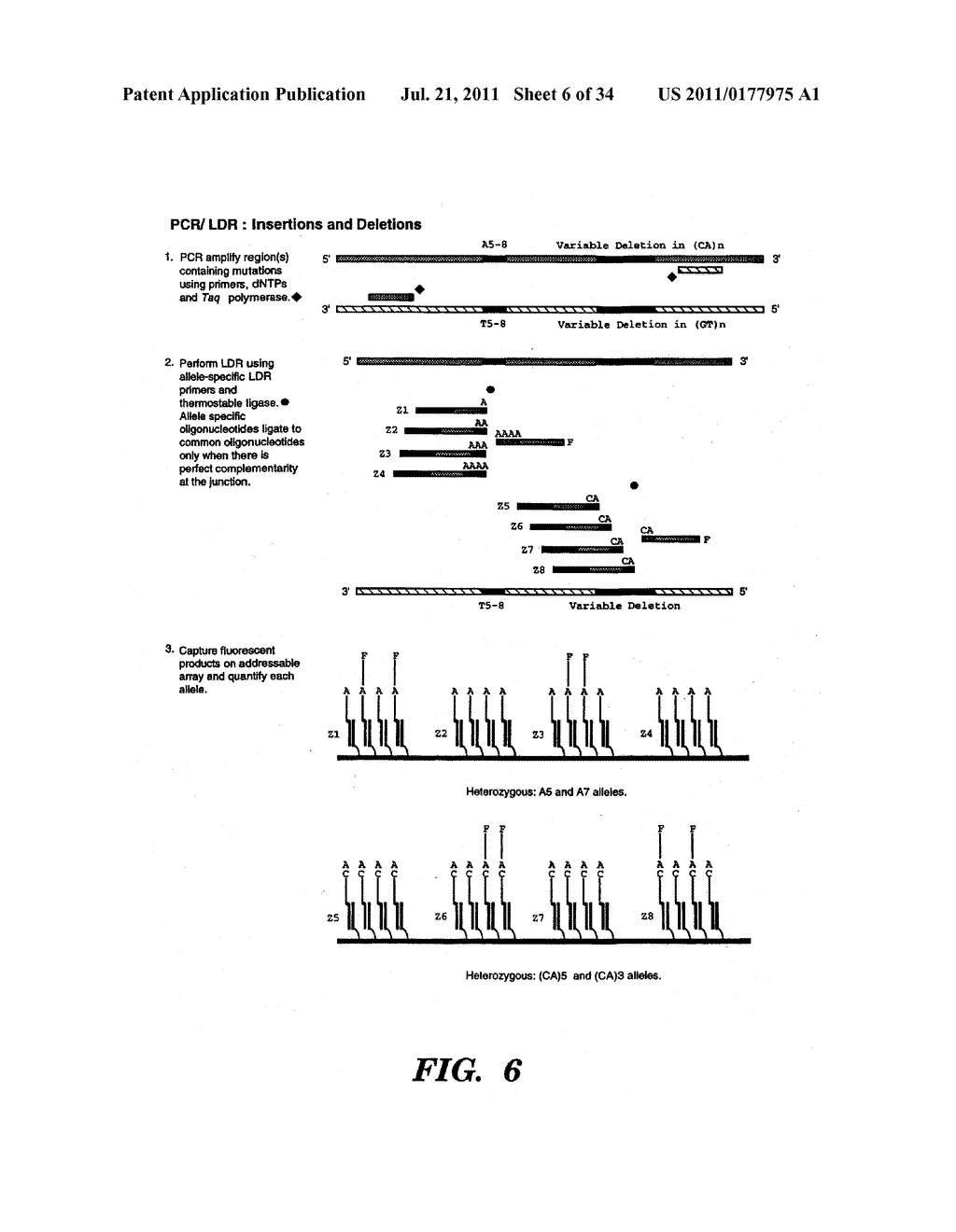 DETECTION OF NUCLEIC ACID SEQUENCE DIFFERENCES USING THE LIGASE DETECTION     REACTION WITH ADDRESSABLE ARRAYS - diagram, schematic, and image 07